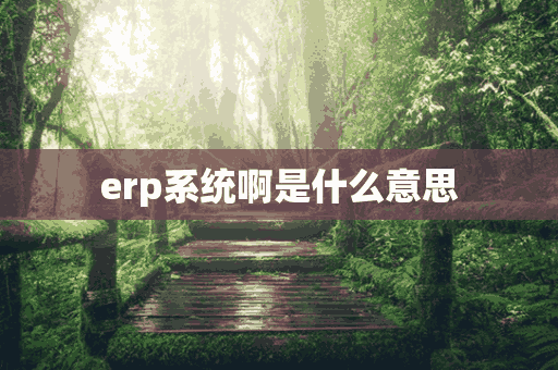 erp系统啊是什么意思(erp系统指什么)